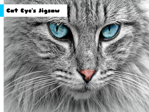 Cat Eye’s Jigsaw