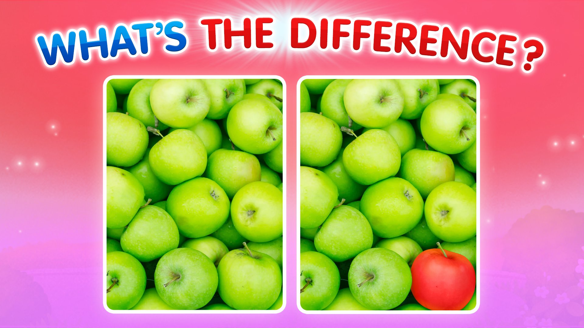What’s The Difference?